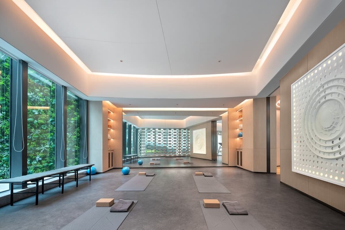 Interior de um studio de pilates com reformers alinhados, madeira clara e luz natural
